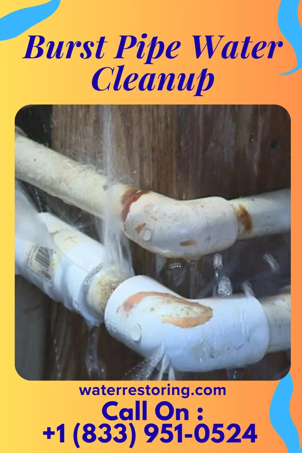 Burst Pipe Water Cleanup in Carlls Corner, NJ