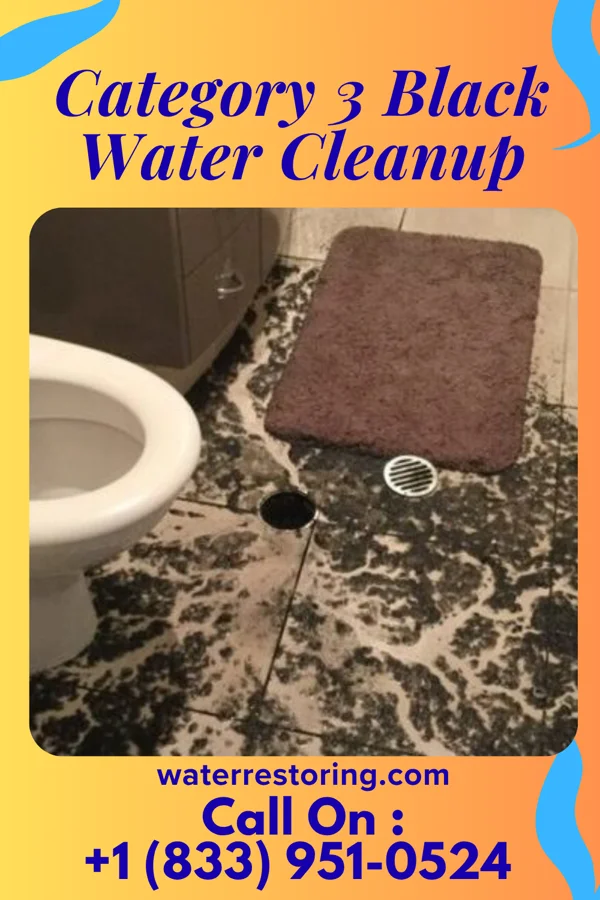 Category 3 Black Water Cleanup in Carlls Corner, NJ
