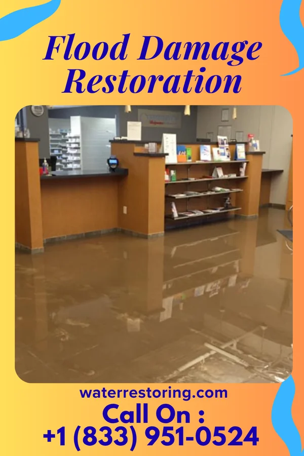 Flood Damage Restoration in Carlls Corner, NJ