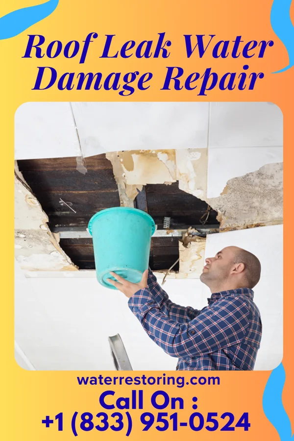 Roof Leak Water Damage Repair in Carlls Corner, NJ