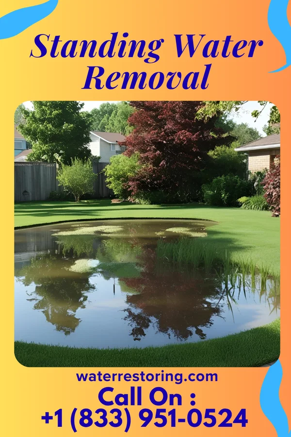 Standing Water Removal in Carlls Corner, NJ